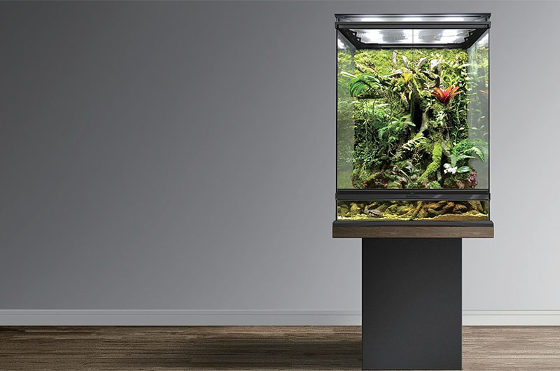 线性降压式恒流LED驱动应用在植物灯，比白炽灯等成本更低、更高效应用方案封面图